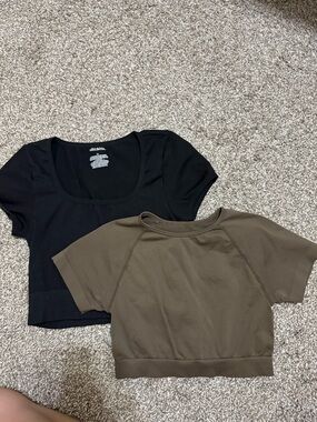 Black and Brown Cropped Women's Tops - Pack of 2